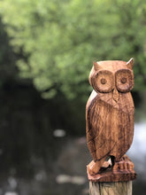 Load image into Gallery viewer, Owl - large hand carved decorative solid Oak ornament, hardwood rustic decor