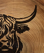 Load image into Gallery viewer, Highland cow wall art. Handmade pyrography on live edge willow wood slice.
