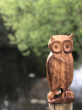 Load image into Gallery viewer, Owl - large hand carved decorative solid Oak ornament, hardwood rustic decor