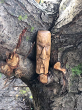 Load image into Gallery viewer, Hand carved Oak wizard ornament, wood spirit face
